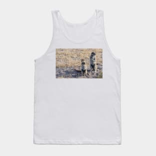 Squirrels. Tank Top